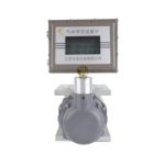 Gas Roots Flow Meter - Hualiu