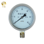 Stainless Steel Pressure Gauge - Hualiu