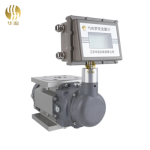 Gas Roots Flow Meter - Hualiu